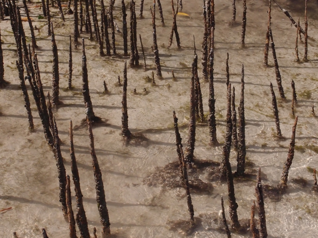 2015-10-07 Habitat des Lorbi (Foto)